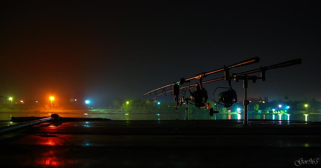 Night-vision-2 - img18484950resize.jpeg